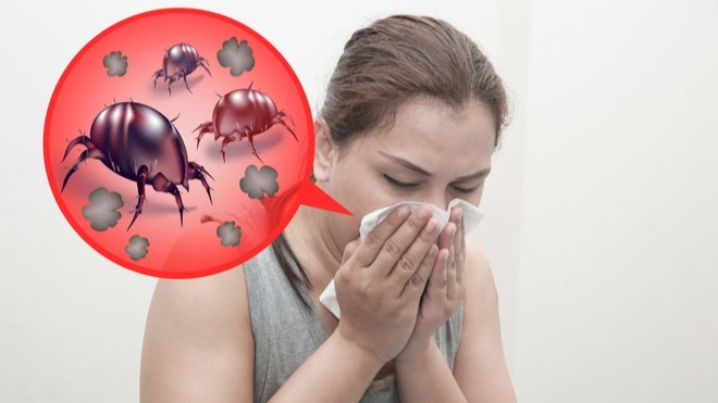Health Risks of Dust Mite Allergens