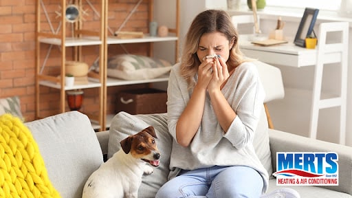 Why is My Indoor Air Quality So Bad? How to Fix it